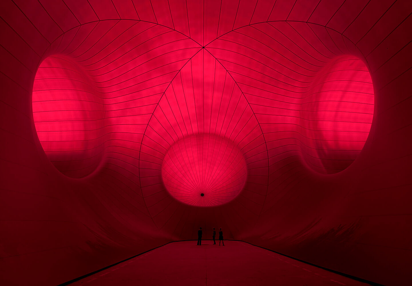 Anish Kapoor'un Ürkütücü Sanatı
